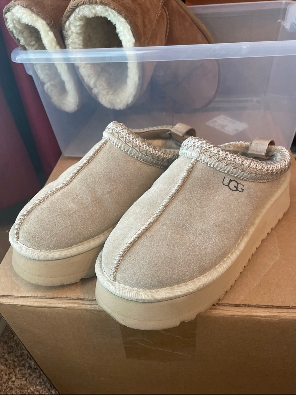 UGG Women's Chestnut Suede Slide Slippers